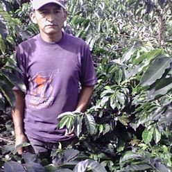 Colombia-Excelso---Elibardo-Soscue---(70Kg)-(CM-CO-053-12)