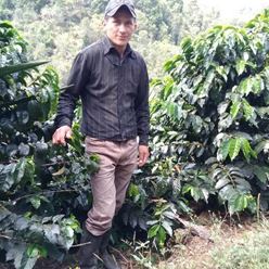 Colombia-Excelso---Aldemar-Campo---(70Kg)-(CM-CO-053-14)