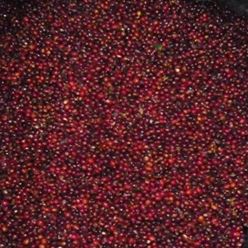 El-Salvador-SHG-Los-Nogales-El-Roble-HSF-Natural---(35Kg)-(CM-EL-027-13)