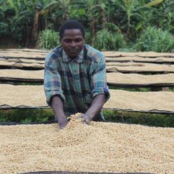 Burundi-Butegana-Washed---(60Kg)-(CM-BU-024)