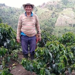 Colombia-Excelso---Primitivo-Puyo---(70Kg)-(CM-CO-053-11)