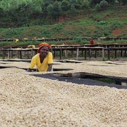 Burundi-Butegana-Washed---(60Kg)-(CM-BU-024)